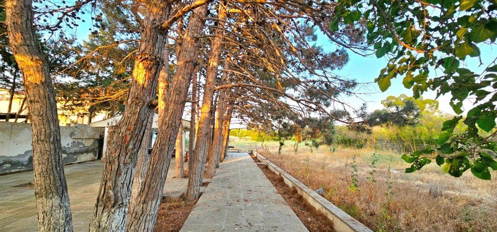 Satılır torpaq 25 sot — Torpaq, Bakı (2)