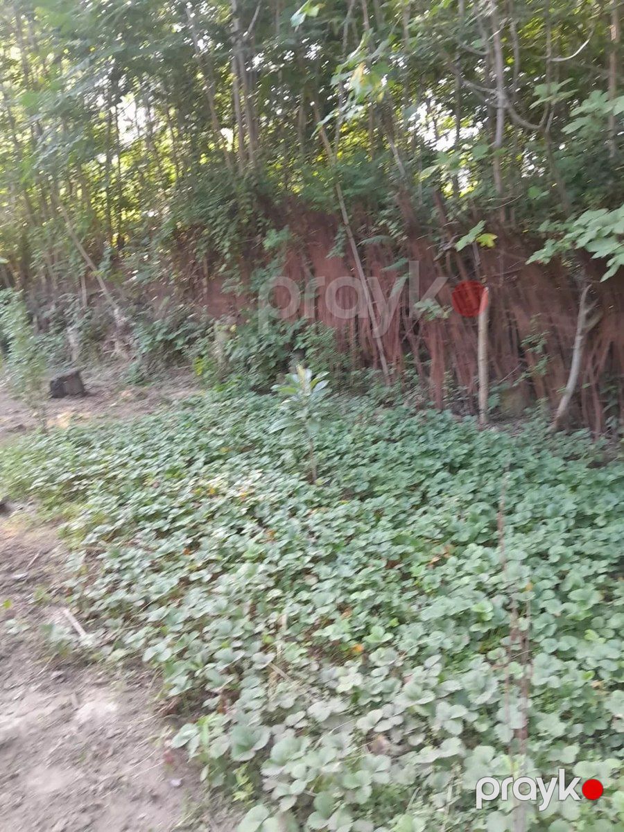 Bağ evi, Dəniz yolu 7-ci küç — Ev, villa, Mingəçevir (8)