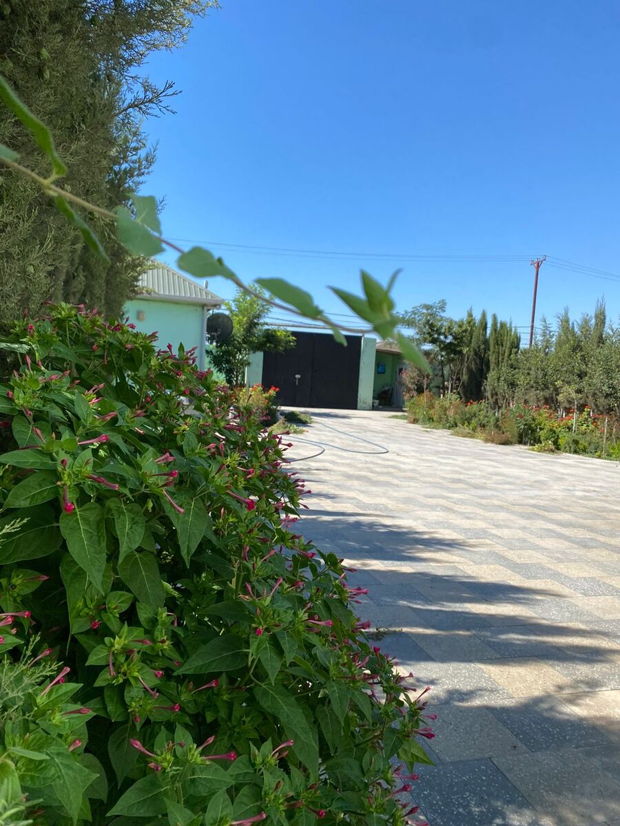 Satılır 5 otaqlı həyət evi/bağ evi 277.3 m² — Ev, villa, Bakı (4)