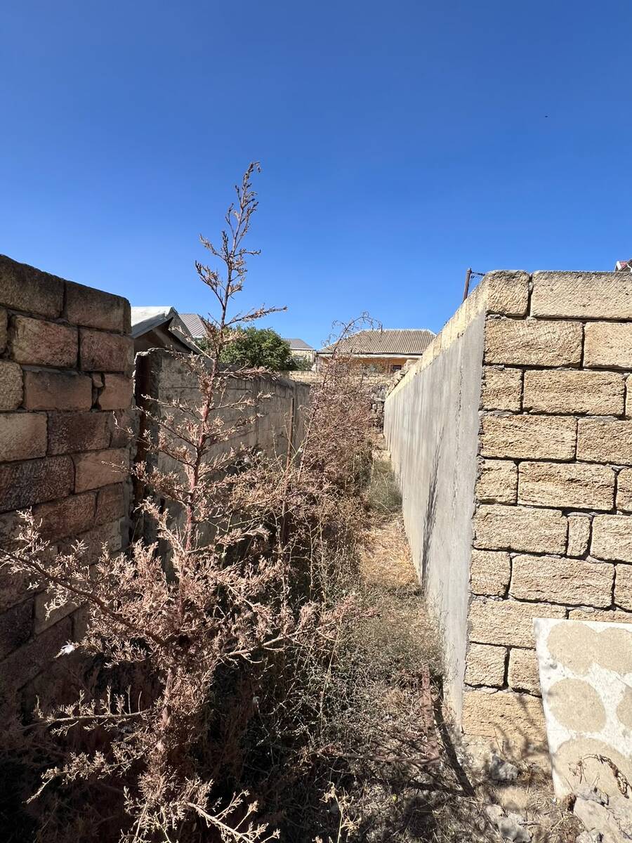 Satılır torpaq 10 sot — Torpaq, Bakı (9)