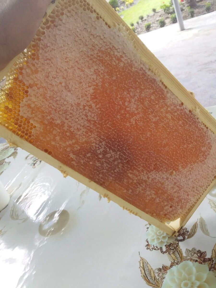 Zaqatala balı 100% natur — Toyuq və xoruz, Zaqatala (5)