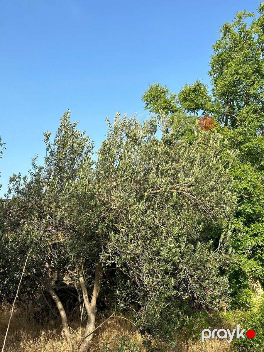 Satılır 7 otaqlı həyət evi/bağ evi 160 m² — Ev, villa, Bakı (4)