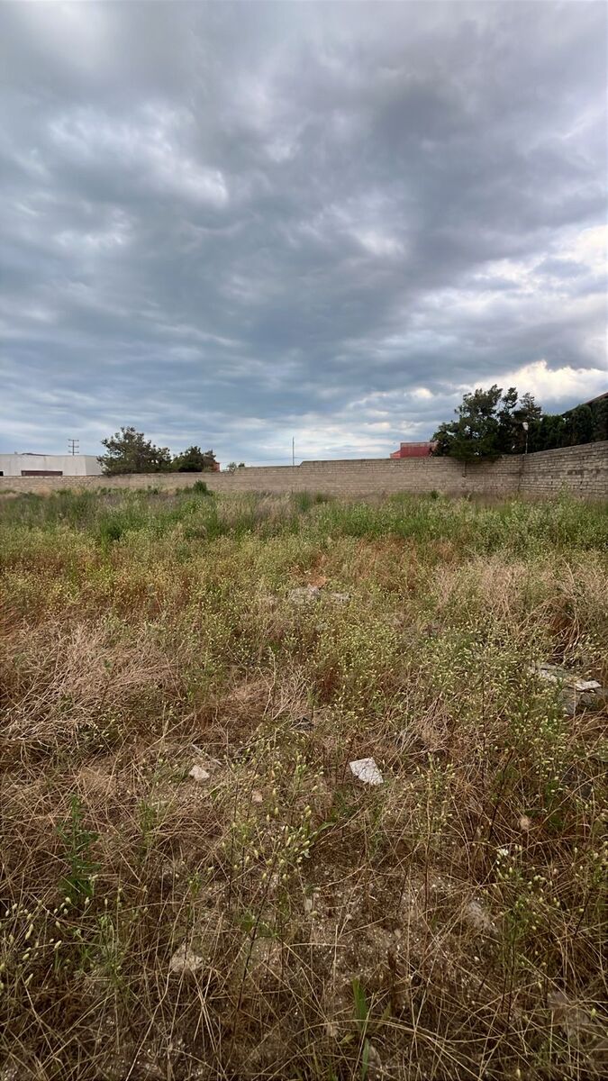 Satılır torpaq 29 sot — Torpaq, Bakı (4)