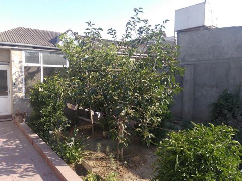 Satılır 6 otaqlı həyət evi/bağ evi 180 m² — Bakı
