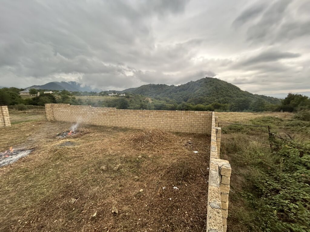 15 sot, Tikinti, Mülkiyyətçi, Kupça (Çıxarış) — Torpaq, Qəbələ (3)