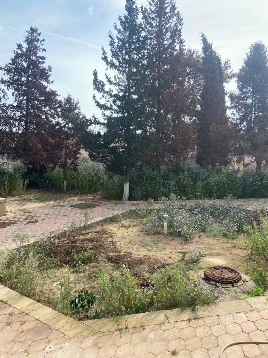 Satılır torpaq 10 sot — Torpaq, Bakı (3)