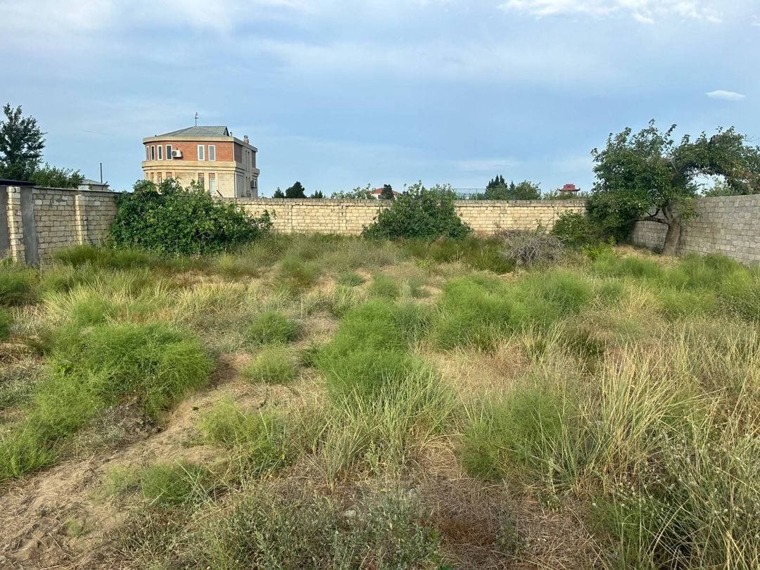 Satılır torpaq 8 sot — Torpaq, Bakı (4)