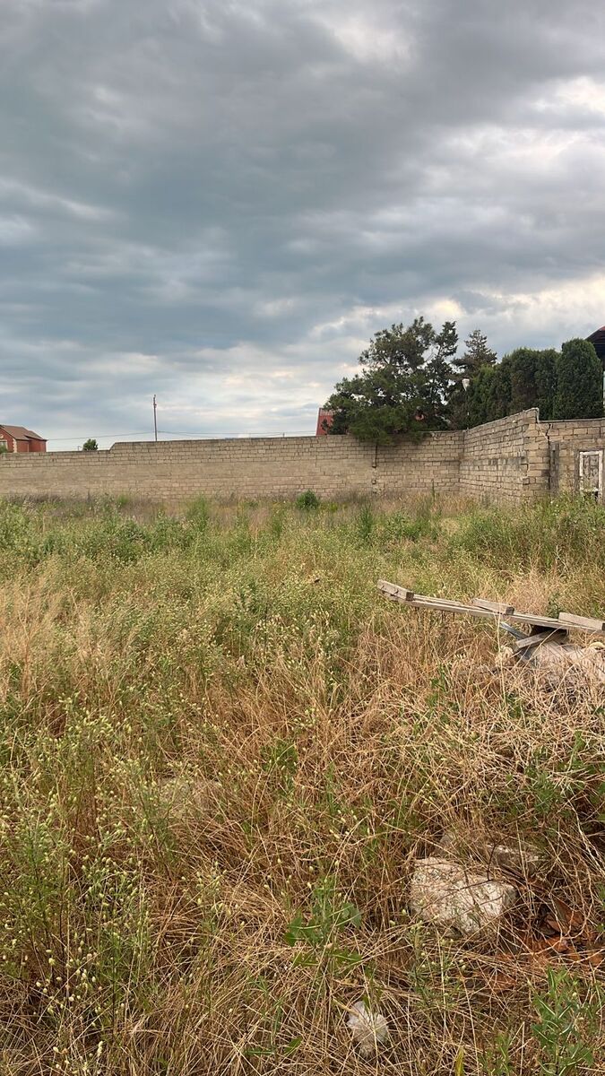 Satılır torpaq 29 sot — Torpaq, Bakı (2)