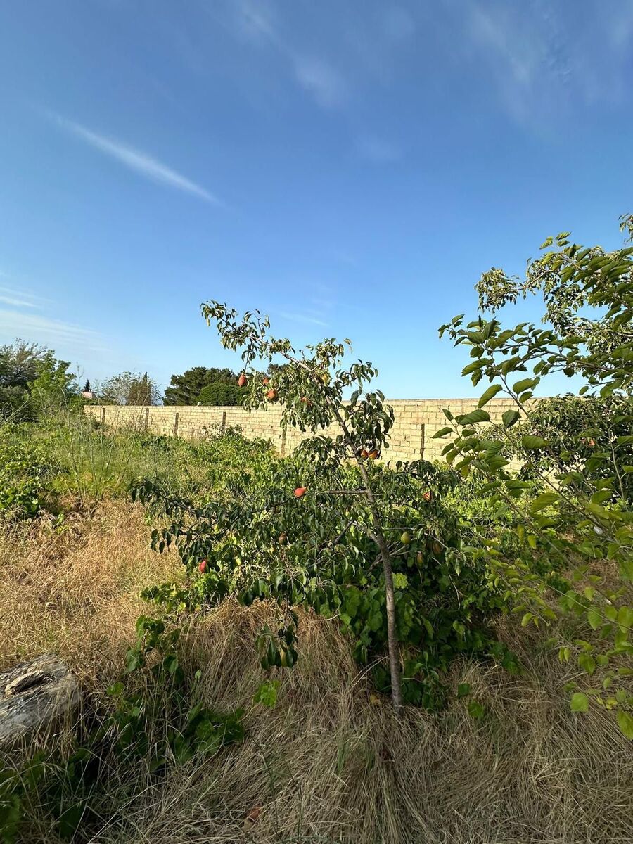 Satılır 7 otaqlı həyət evi/bağ evi 160 m² — Ev, villa, Bakı (8)