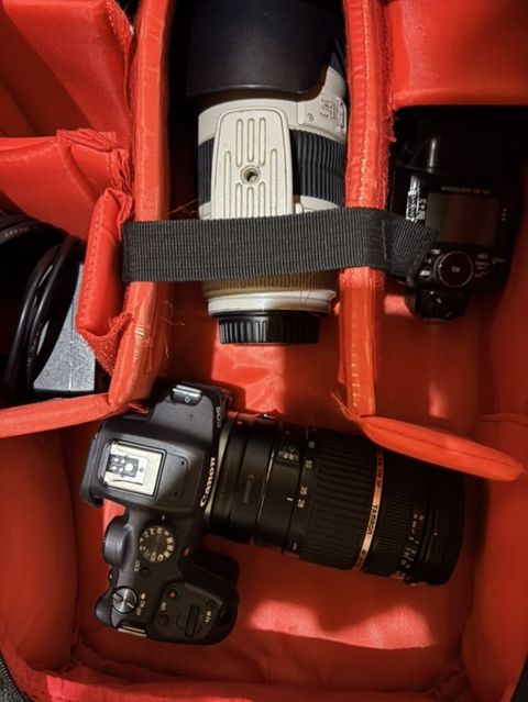 Canon fotoqrafiya seti - Canon EOS R 7 seriyalı Dslr kamera gövdəsi — Biləsuvar