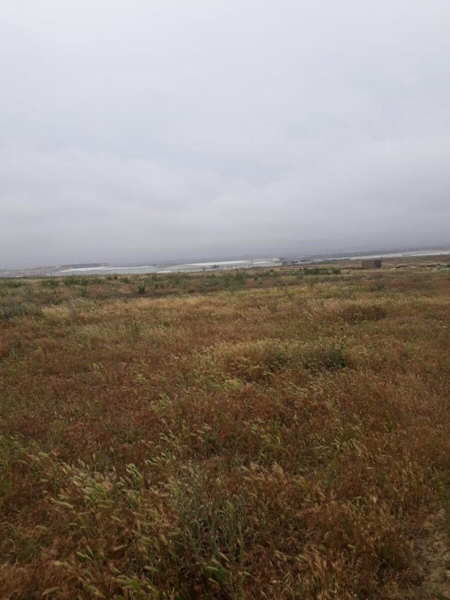 12 sot torpaq sahəsi, Maştağa qəs — Torpaq, Bakı