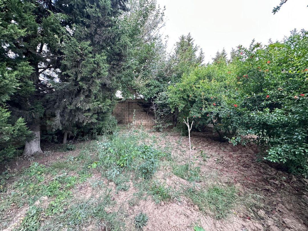 Satılır torpaq 5 sot — Torpaq, Bakı (4)