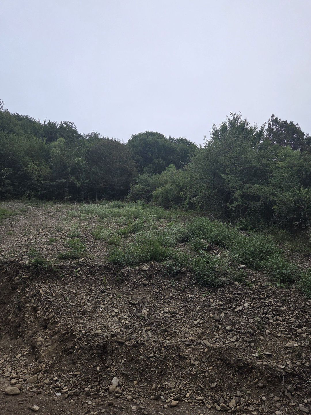 Satılır torpaq 8 sot — Torpaq, Qusar (3)