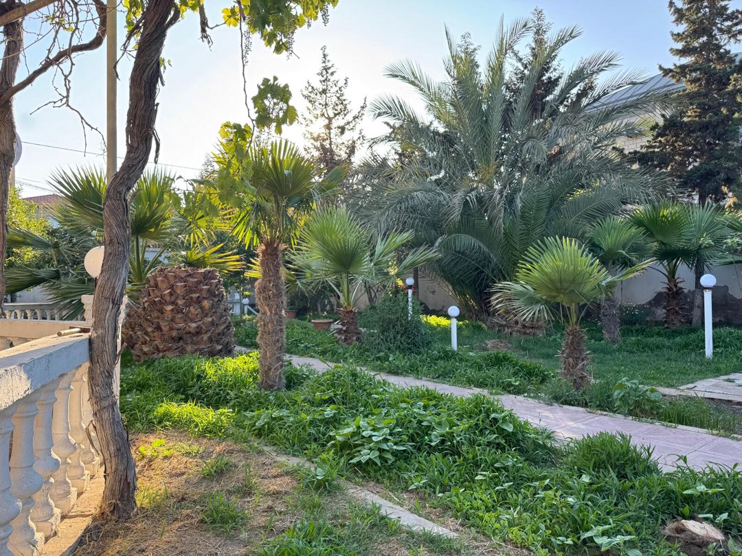 Satılır torpaq 14 sot — Torpaq, Bakı (3)
