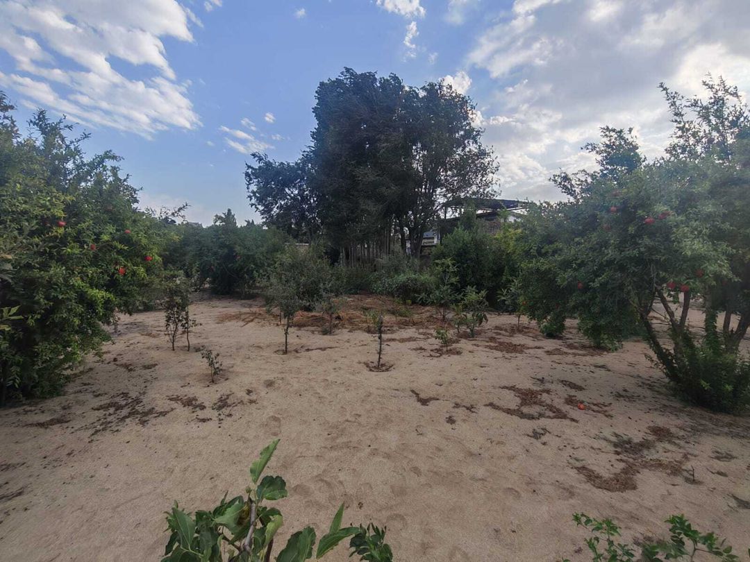 Satılır torpaq 3 sot — Torpaq, Bakı (4)