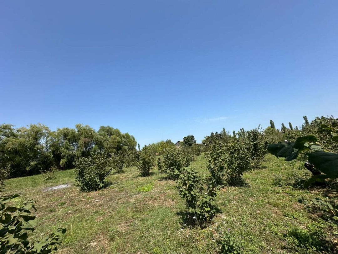 20 sot torpaq sahəsi, Xaçmaz r — Torpaq, Xaçmaz (6)