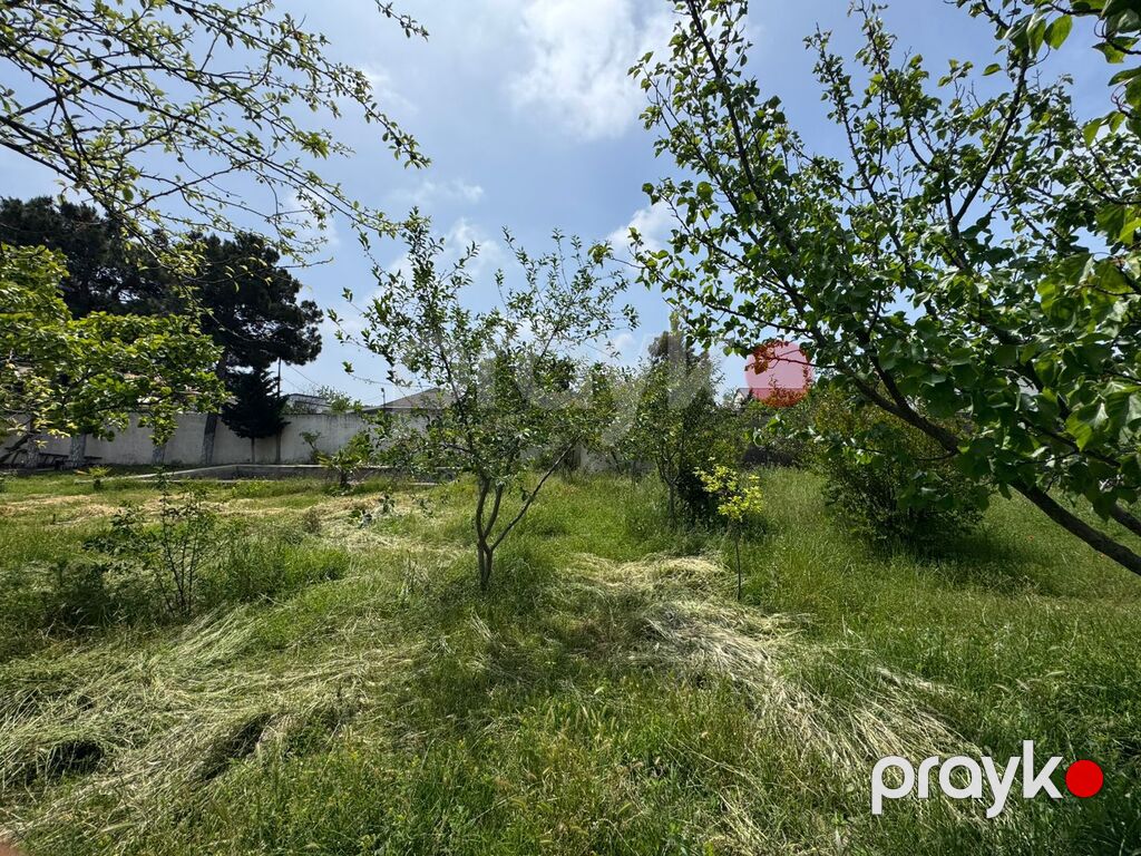 Satılır torpaq 22 sot — Torpaq, Bakı (5)
