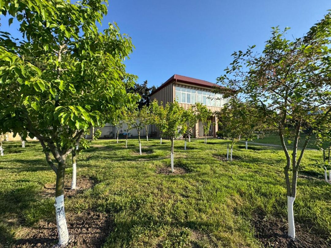 Satılır torpaq 30 sot — Torpaq, Bakı (7)