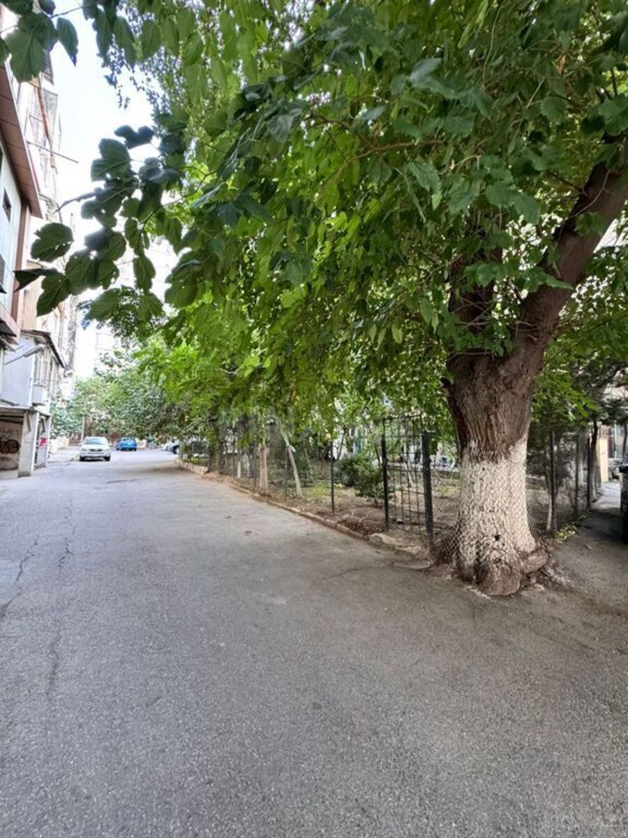 Satılır qaraj 42.5 m² — Garaj, Bakı (2)