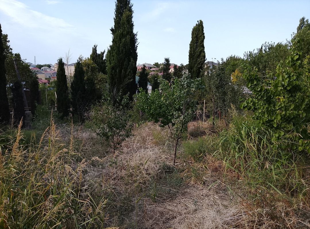 Villa, Masazır qəs — Ev, villa, Bakı (10)