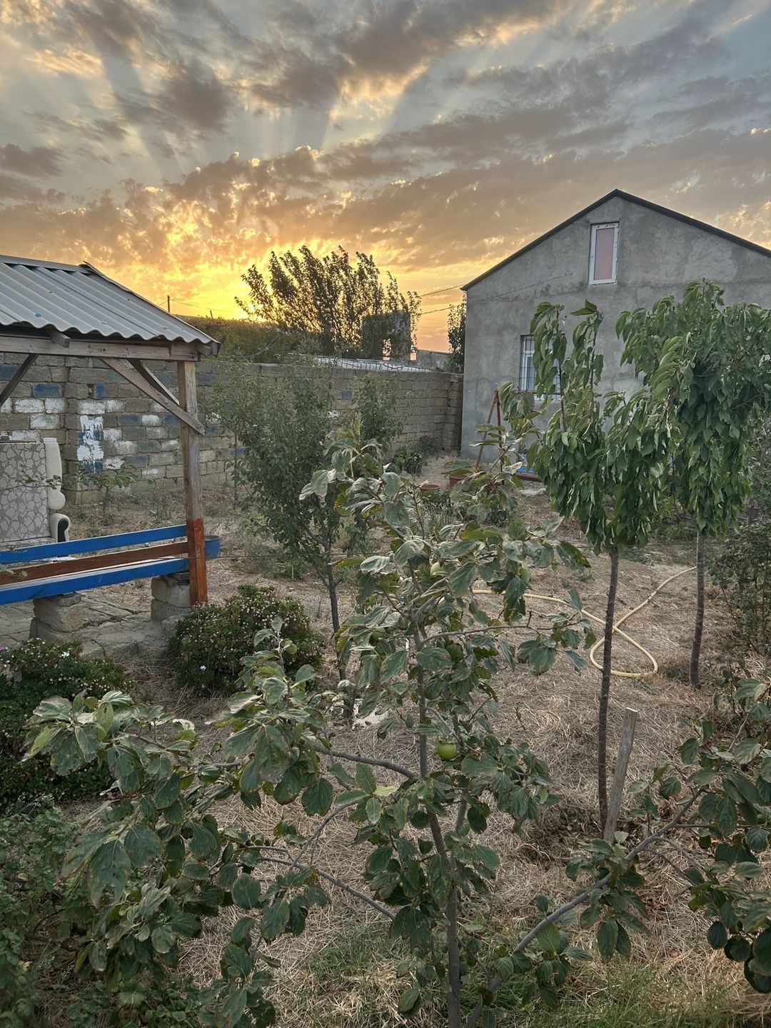 Satılır 3 otaqlı həyət evi/bağ evi 60 m² — Ev, villa, Bakı (9)