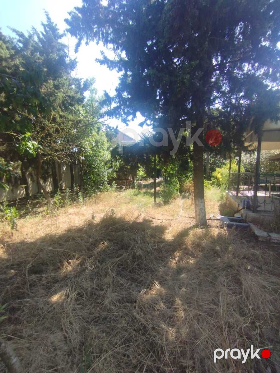Satılır 5 otaqlı həyət evi/bağ evi 220 m² — Ev, villa, Bakı (5)