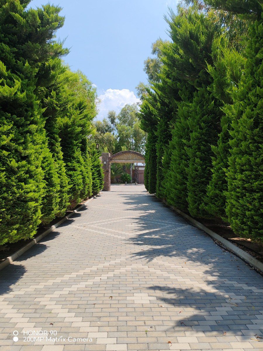 Satılır 5 otaqlı həyət evi/bağ evi 380 m² — Ev, villa, Bakı (10)