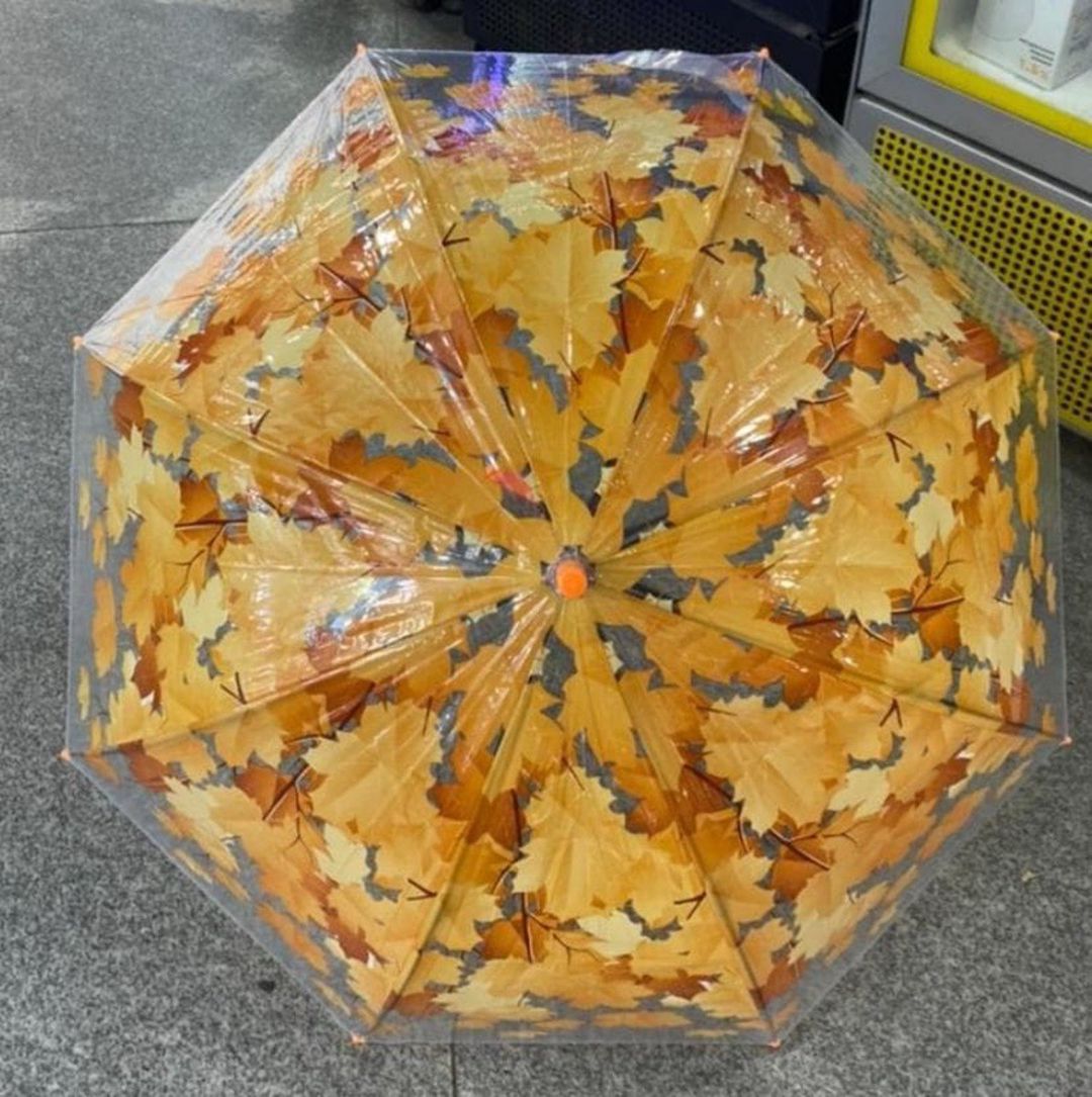Çətir — Aksesuarlar, Bakı (12)