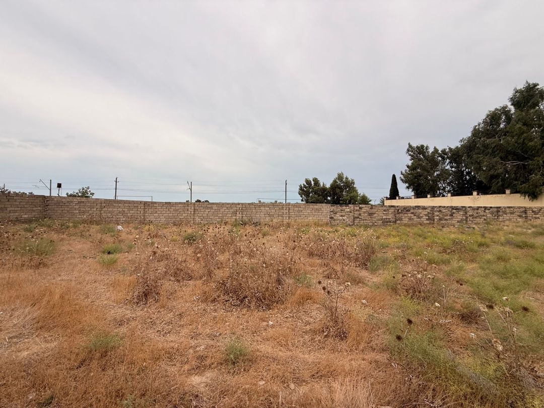 Satılır torpaq 11 sot — Torpaq, Bakı (4)