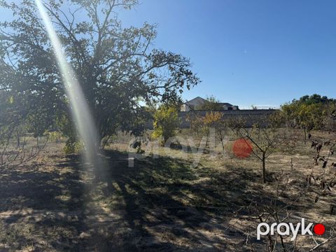 Satılır torpaq 30 sot