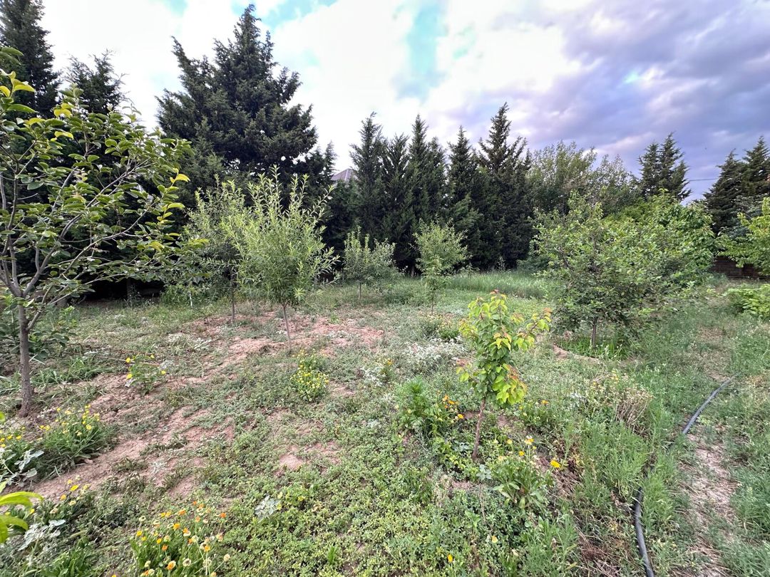 Satılır torpaq 5 sot — Torpaq, Bakı (3)