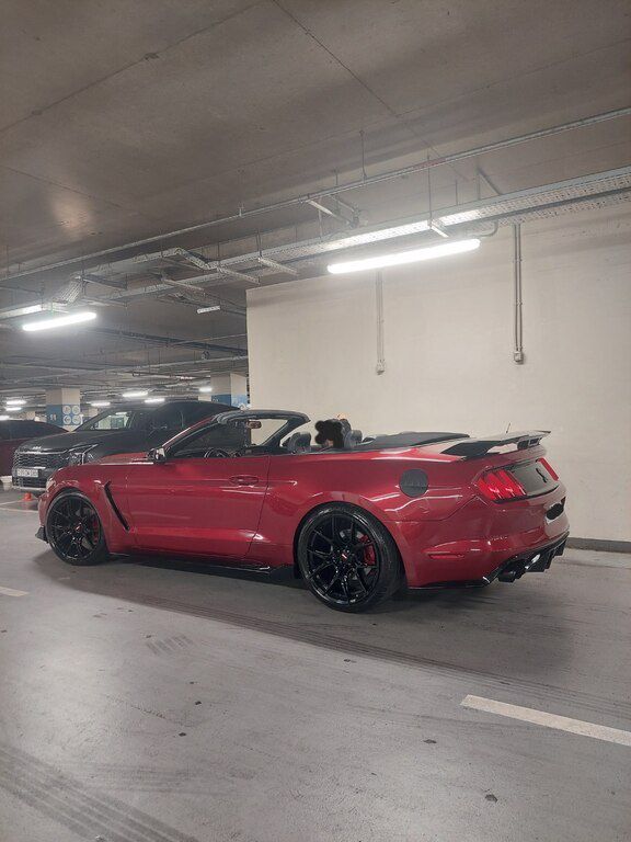 Ford Mustang, 2.3 L, 2016 il, 180 000 km — Avtomobillər, Bakı (10)