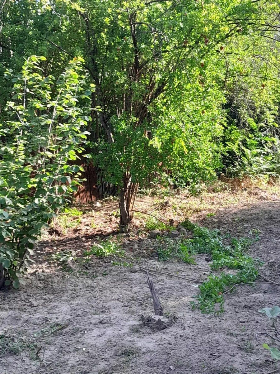 Bağ evi, Dəniz yolu 7-ci küç — Ev, villa, Mingəçevir (7)