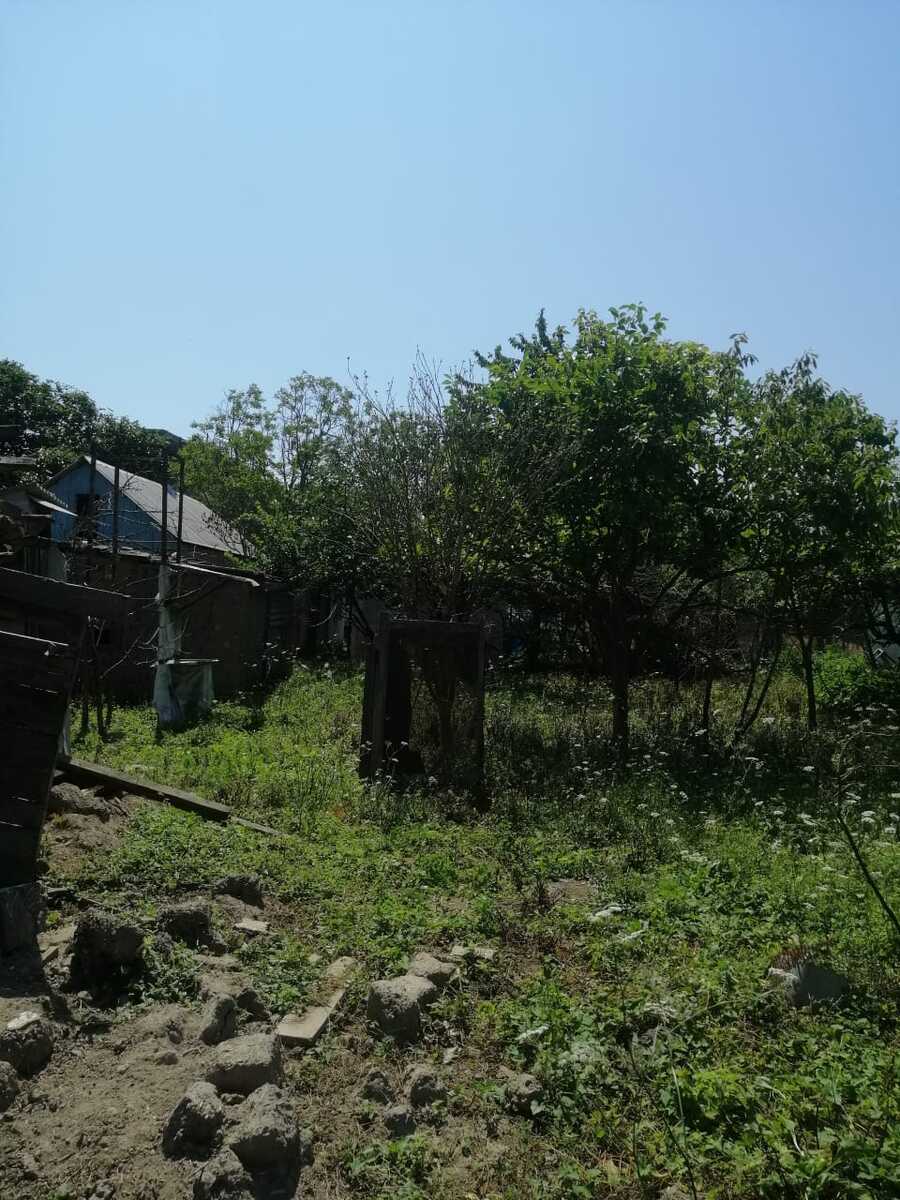 Satılır torpaq 12 sot — Torpaq, Xaçmaz (4)