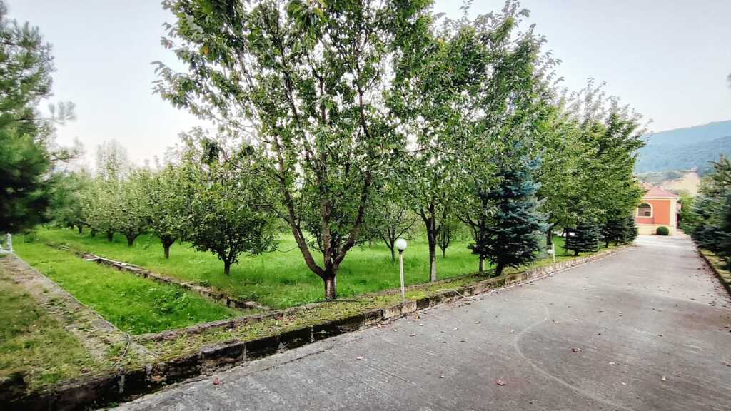 İcarəyə verilir 3 otaqlı həyət evi/bağ evi 100 m² — Ev, villa, Qusar (2)