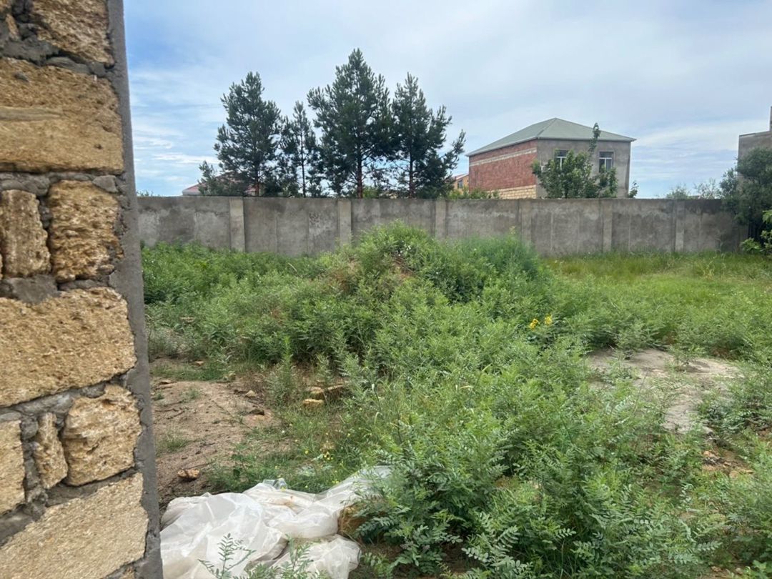 Satılır torpaq 6 sot — Torpaq, Sumqayıt (5)