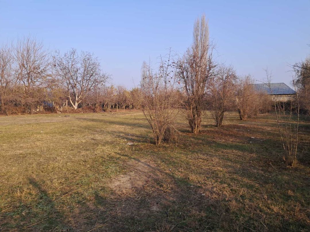 Satılır torpaq 25 sot — Torpaq, Göyçay (6)