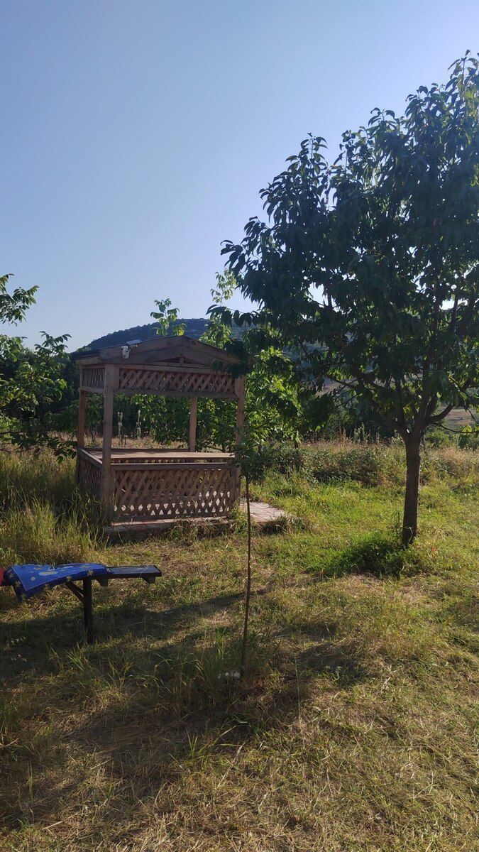 Həyət evi, Şamaxı r — Ev, villa, Şamaxı (6)