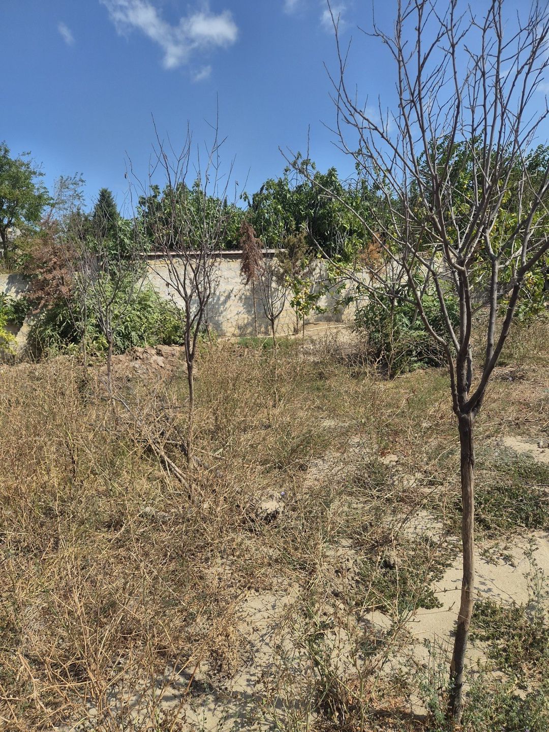 Satılır torpaq 3 sot — Torpaq, Bakı (2)