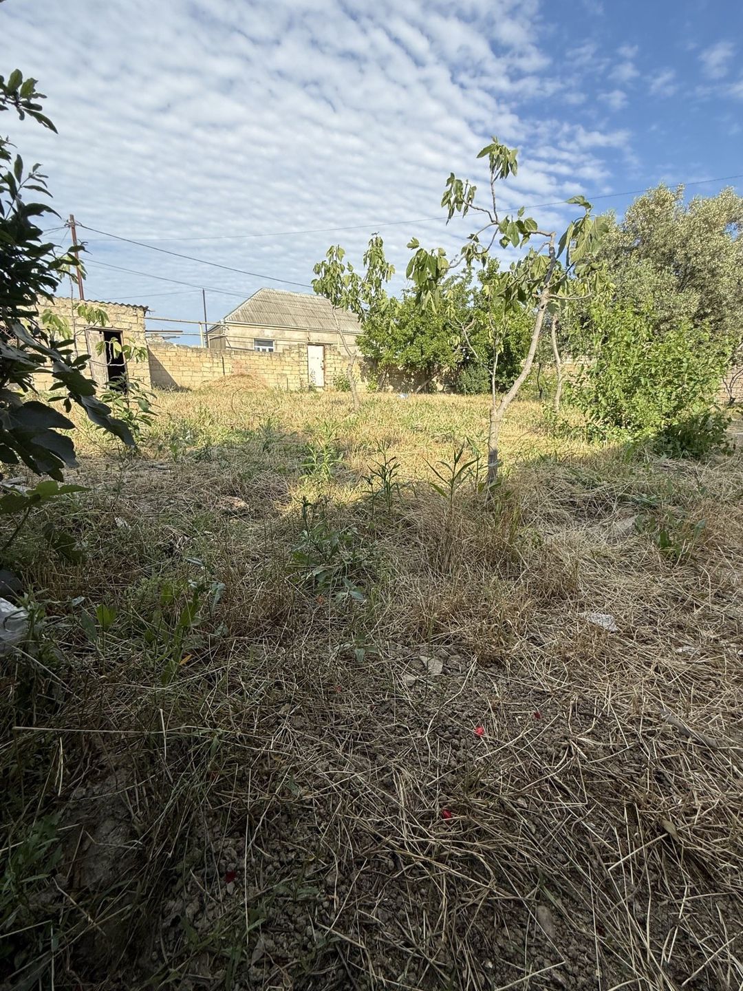 Satılır torpaq 5 sot — Torpaq, Bakı (5)