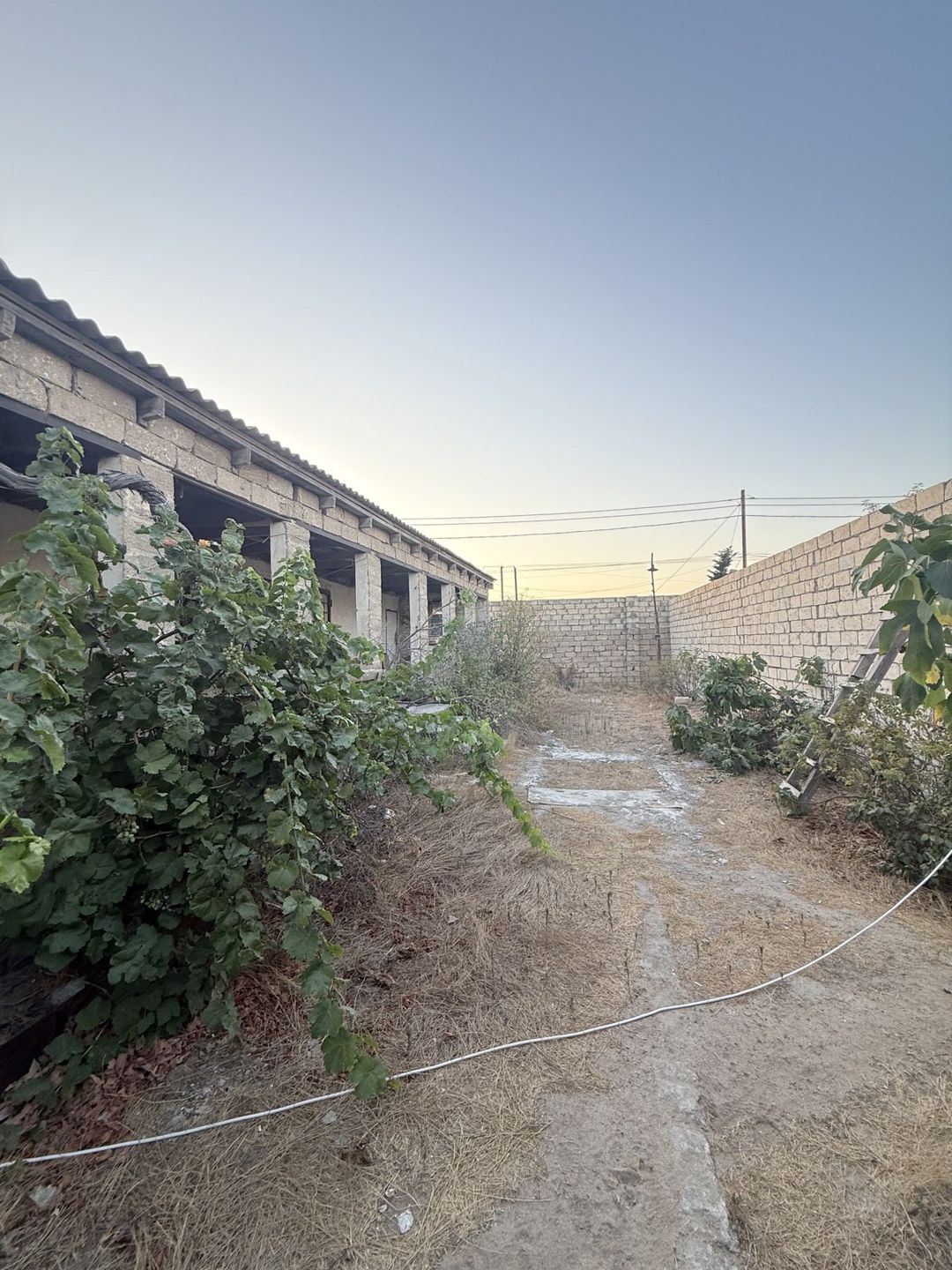 Satılır torpaq 4 sot — Torpaq, Bakı (2)