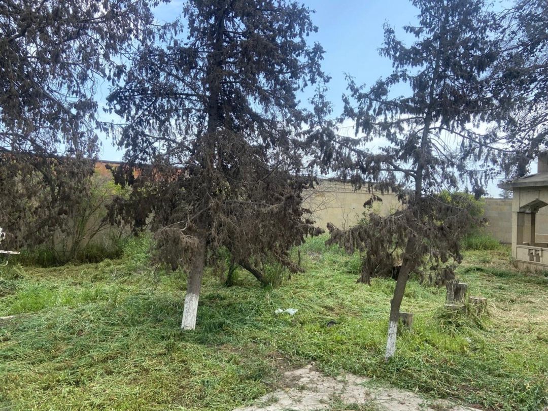 Satılır torpaq 9.2 sot — Torpaq, Bakı (6)