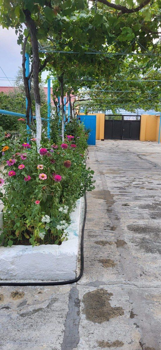 Satılır 5 otaqlı həyət evi/bağ evi 150 m² — Ev, villa, Siyəzən (2)