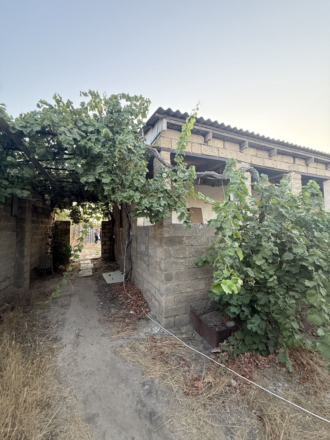 Satılır torpaq 4 sot — Torpaq, Bakı (3)
