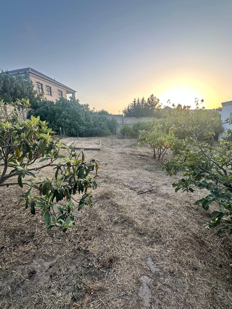 Satılır torpaq 6 sot — Torpaq, Bakı (2)