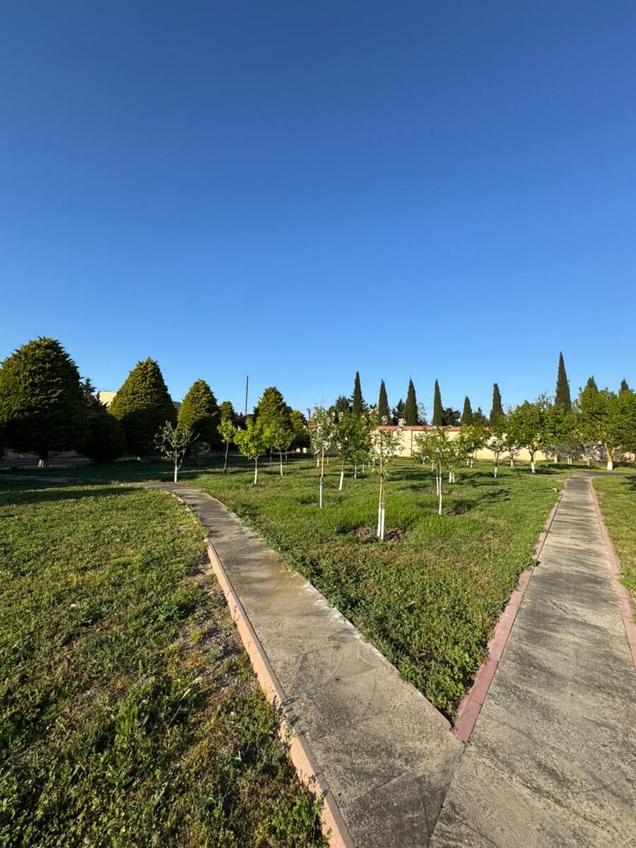 Satılır torpaq 30 sot — Torpaq, Bakı (3)