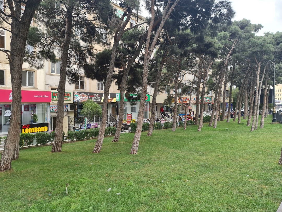 Satılır obyekt 650 m² — Əmlak, Bakı (3)