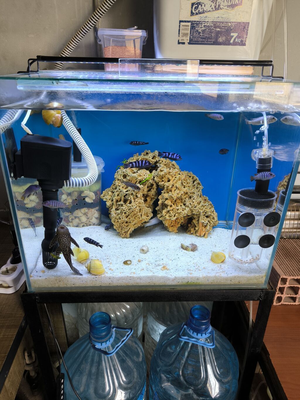 Akvarium Ölçüsü 50/40/40 Daxili Motoru Hava Motoru Pipo filtiri — Heyvanlar, Bakı (3)