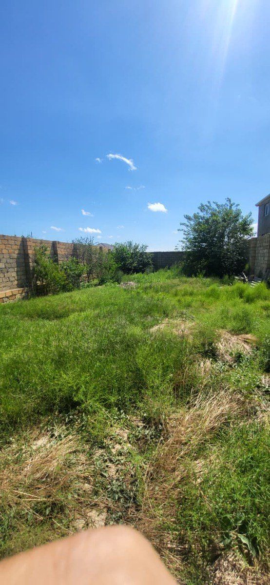 Satılır torpaq 3 sot — Torpaq, Bakı (8)