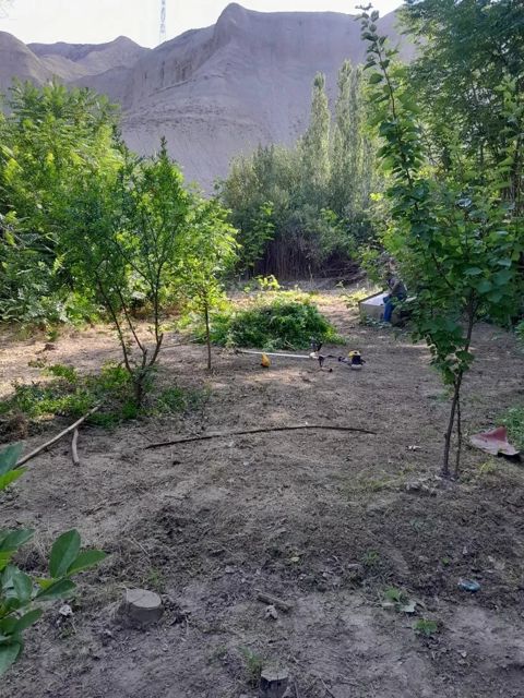 Bağ evi, Dəniz yolu 7-ci küç — Mingəçevir